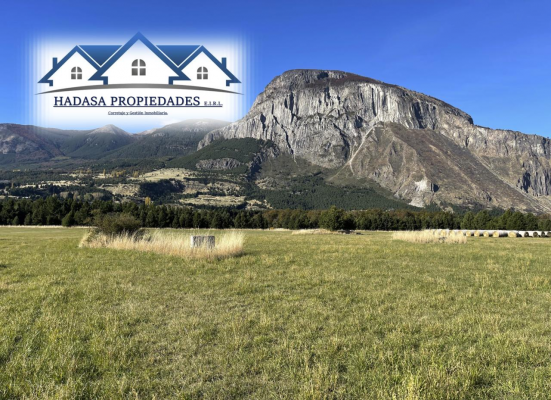 amplio-terreno-para-desarrollo-inmobiliario-4