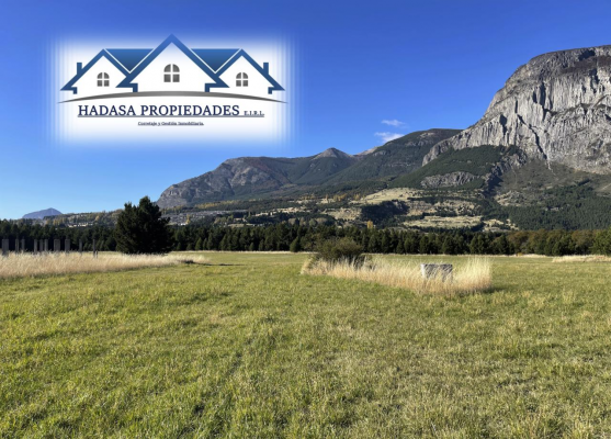 amplio-terreno-para-desarrollo-inmobiliario-6