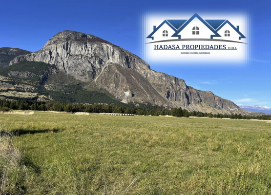 amplio-terreno-para-desarrollo-inmobiliario-8