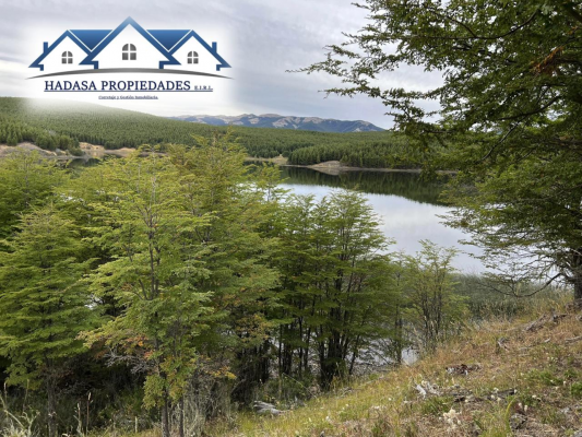loteo-de-parcelas-con-orilla-de-lago-thomson-7