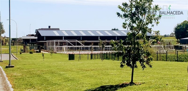 -17