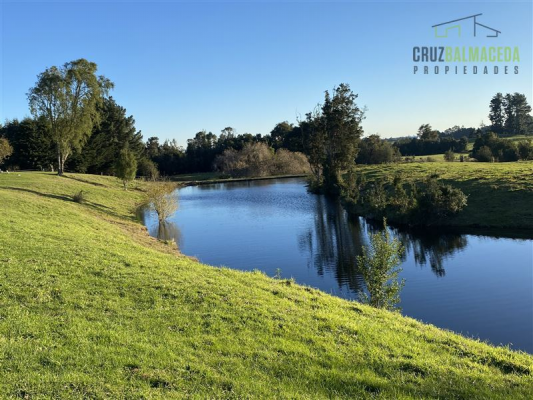 -13