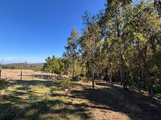 venta-terreno-4-hectareas-monterrey-alto,-comu-8
