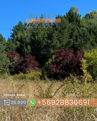parcela-en-sector-huechupin-chillan-6