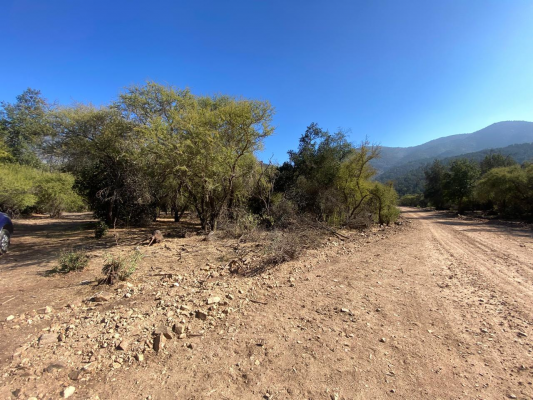 oportunidad-parcela-de-15000-m2-paine-5