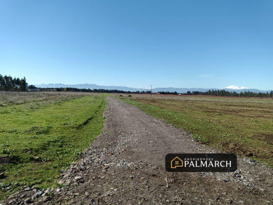 parcelas-en-venta-5000m2-camino-a-cato-chillan-7