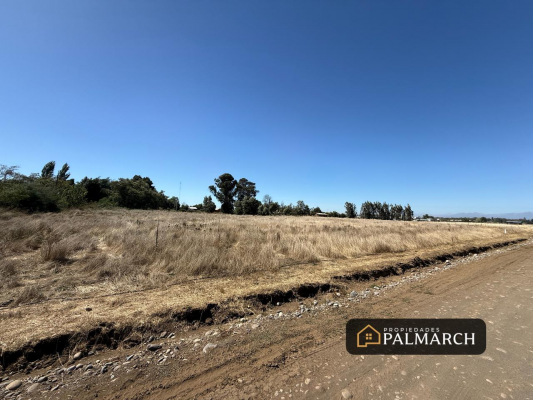 parcelas-en-venta-5000m2-camino-a-cato-chillan-6