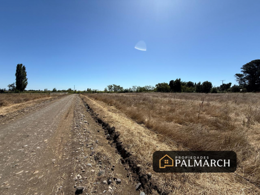 parcelas-en-venta-5000m2-camino-a-cato-chillan-8