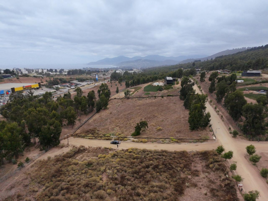 vive-en-maitencillo--parcela-exclusiva-en-campo-4