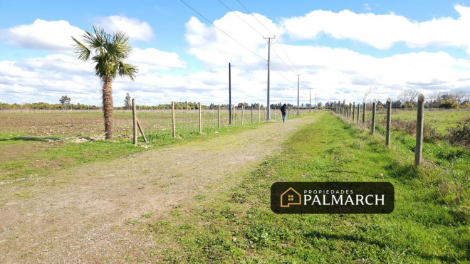 parcela-de-5000m2-a-12-minutos-de-chillan-4