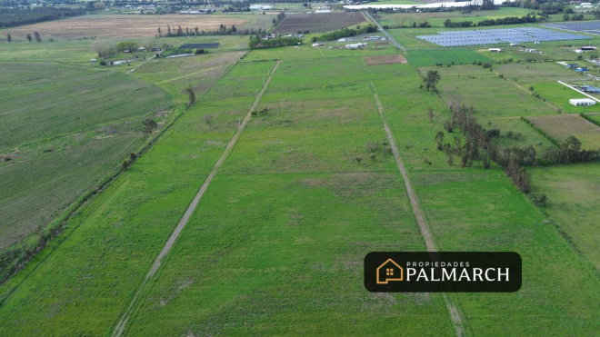 parcela-de-5000m2-a-12-minutos-de-chillan-5
