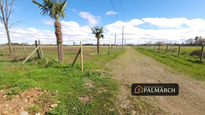 parcela-de-5000m2-a-12-minutos-de-chillan-9