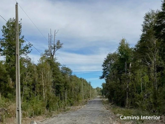 parcela-con-bosque-nativo-en-puerto-varas-9