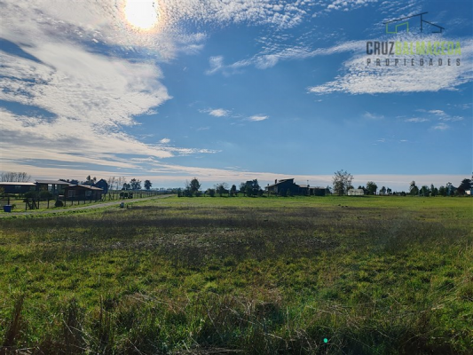 -4