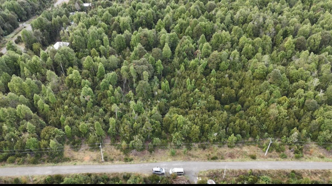 parcela-correntoso-5236-m2-pto-montt-9