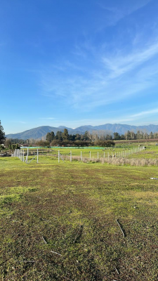 parcela-en-venta-cercana-al-lago-rapel--oportun-6
