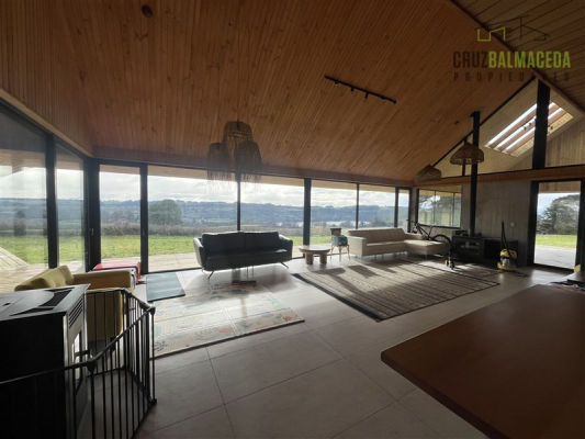 -19