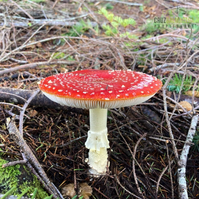 -18