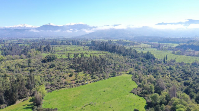 campo-77ha-buen-precio-y-condiciones-ideal-avel-6