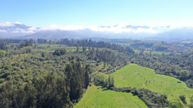 campo-77ha-buen-precio-y-condiciones-ideal-avel-7