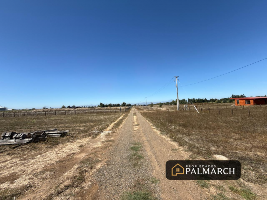parcelas-de-5000-metros-en-chillan-camino-a-cato-7