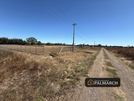 parcelas-de-5000-metros-en-chillan-camino-a-cato-8
