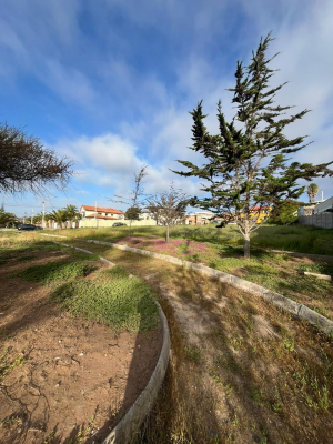 terreno-exclusivo-en-el-rosario-penuelas-coquimbo-9