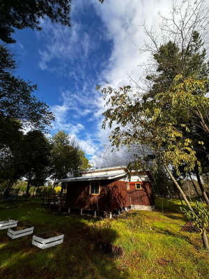 se-vende-media-hectarea-en-yumbel-6