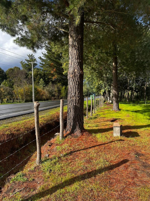 se-vende-media-hectarea-en-yumbel-7