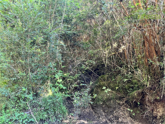 -5