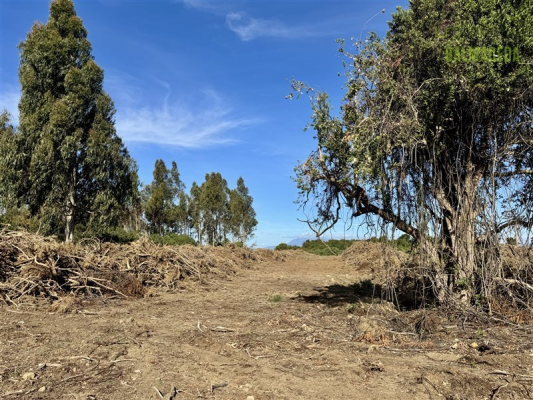 104008496-3