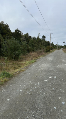 venta-parcela-colonia-tres-puntes-6