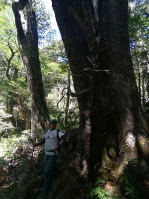 venta-parcela-para-crear-proyecto-turistico-mel-7