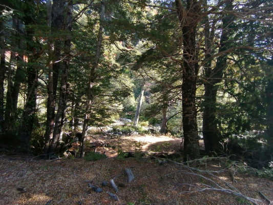 venta-parcela-para-crear-proyecto-turistico-mel-8
