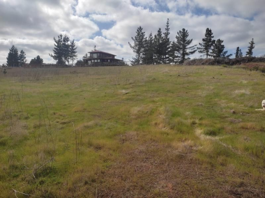 venta-parcela-5000mts-pichilemu-5
