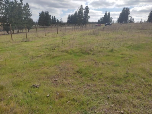 venta-parcela-5000mts-pichilemu-6