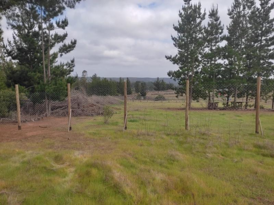 venta-parcela-5000mts-pichilemu-7