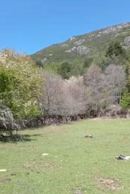hermoso-campo-cercano-a-termas-de-san-sebastian-6