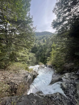 hermoso-campo-cercano-a-termas-de-san-sebastian-7
