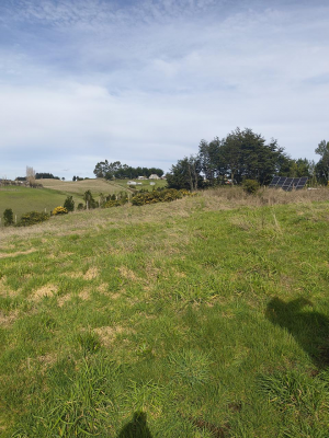 terreno-con-vista-al-mar-en-chiloe-9