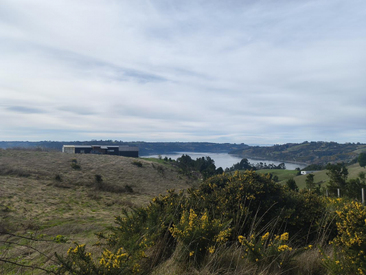 terreno-con-vista-al-mar-en-chiloe-3