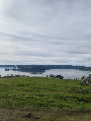 terreno-con-vista-al-mar-en-chiloe-4