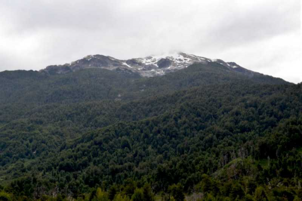 10-hectareas-orilla-rio,-aysen-(168457)-9