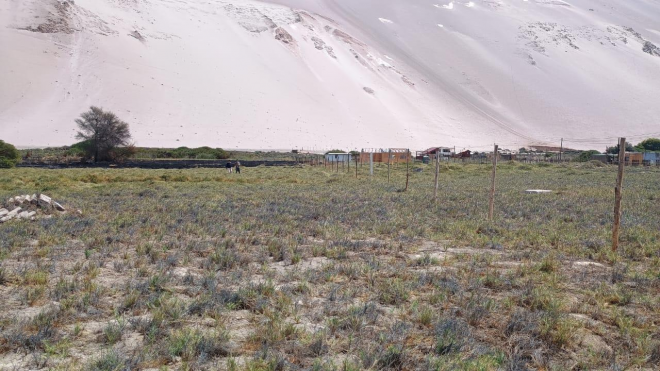 parcel-de-13800-mt2-valle-de-lluta-huanta-6