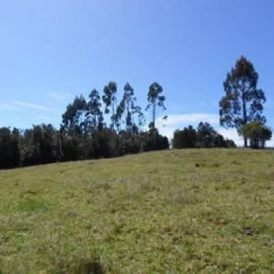 se-vende-parcela-isla-puluqui,calbuco-3
