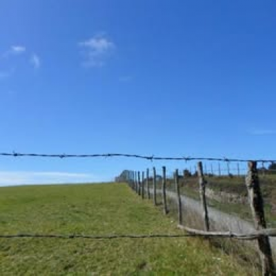 se-vende-parcela-isla-puluqui,calbuco-5