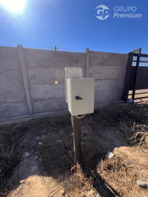 116077028-6