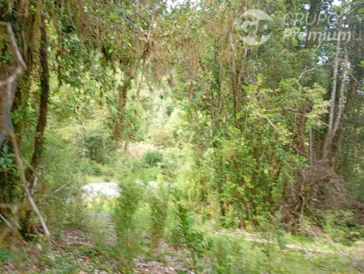 110077095-8