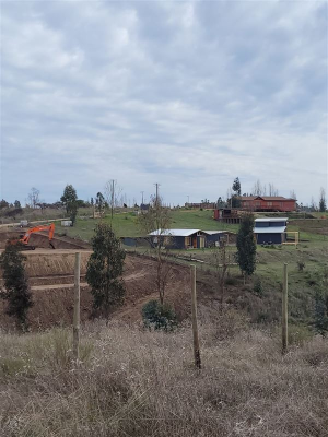 -16