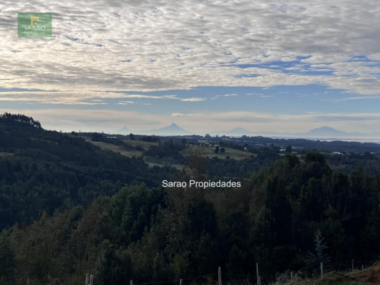 propiedad-agricola-de-7-hectaras-en-fresia-5